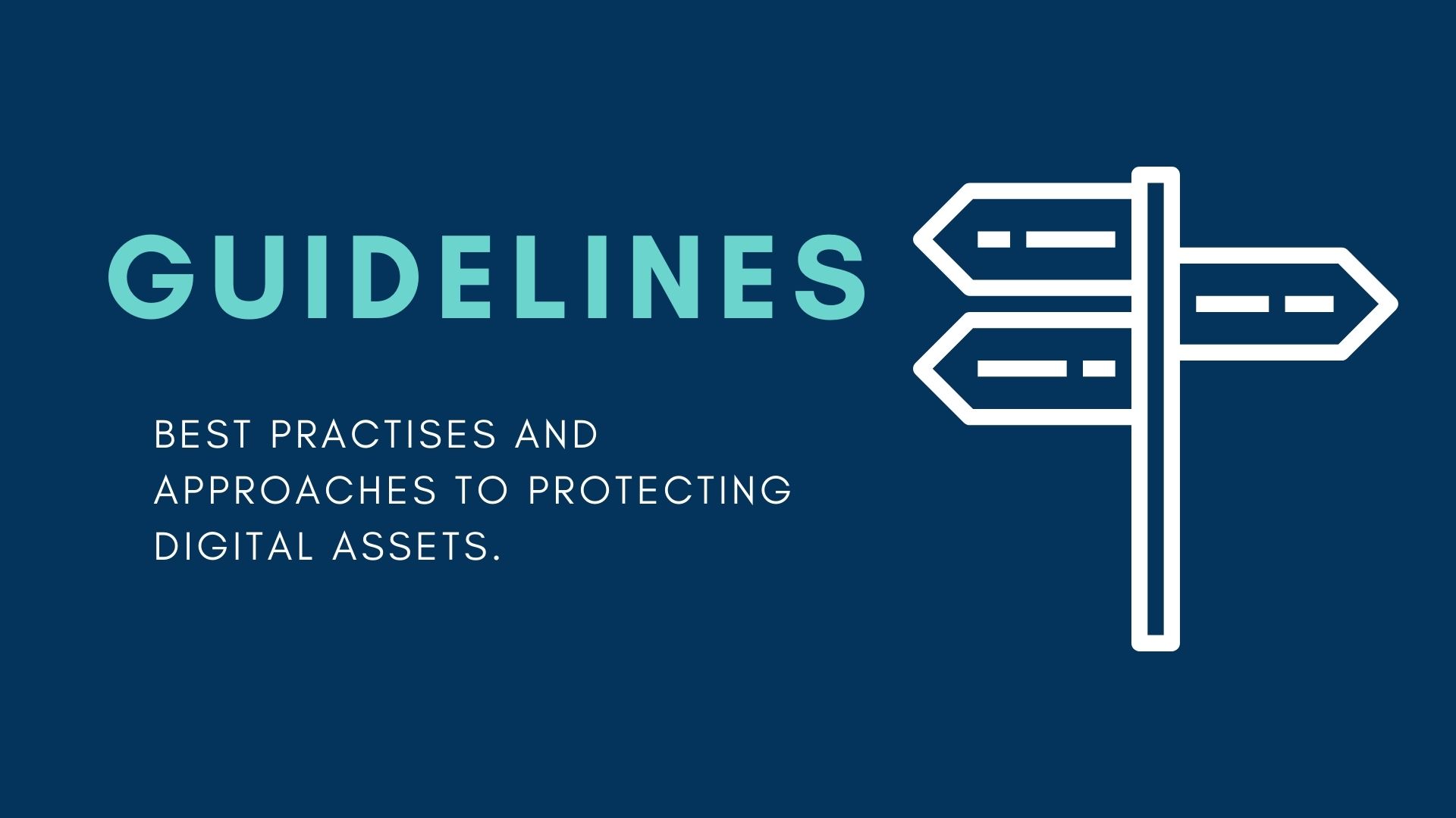 Guidelines: Best practices and approaches to protecting digital assets
